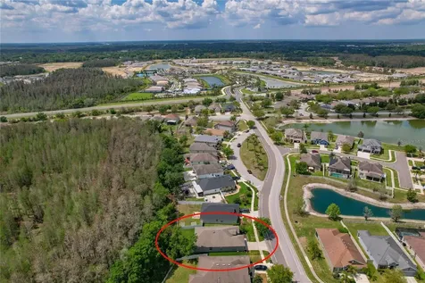 3839 Grecko Drive Wesley Chapel FL 33543