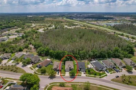 3839 Grecko Drive Wesley Chapel FL 33543