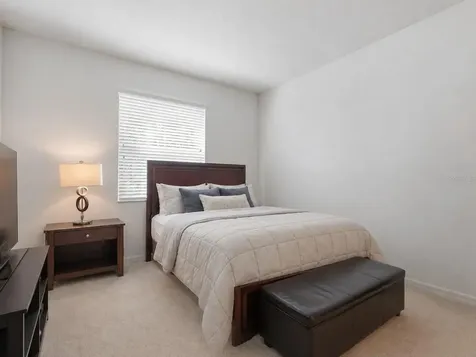 3839 Grecko Drive Wesley Chapel FL 33543