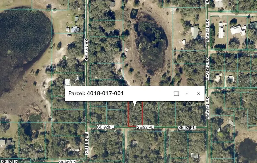 SE 92 Place Ocklawaha FL 32179