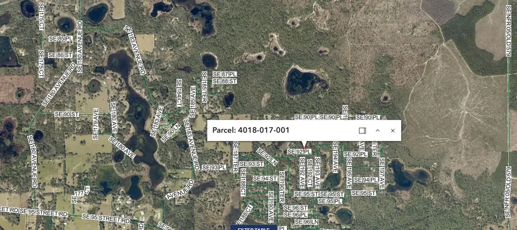 SE 92 Place Ocklawaha FL 32179