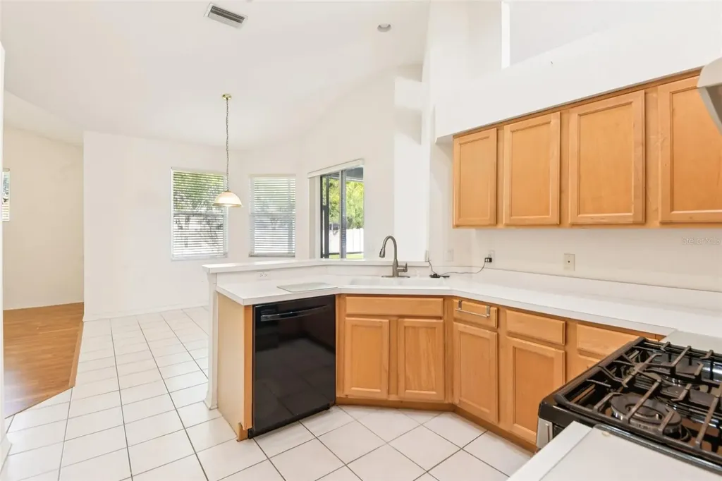 18108 Kennesaw Court Tampa FL 33647