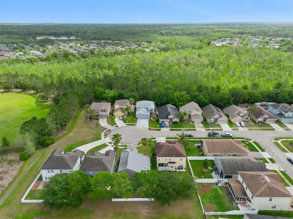 2319 Carnation Hill Court Orlando FL 32820