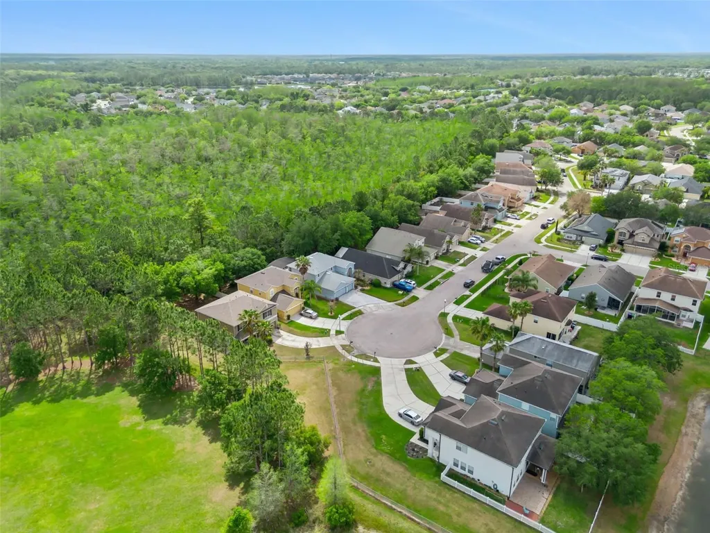 2319 Carnation Hill Court Orlando FL 32820