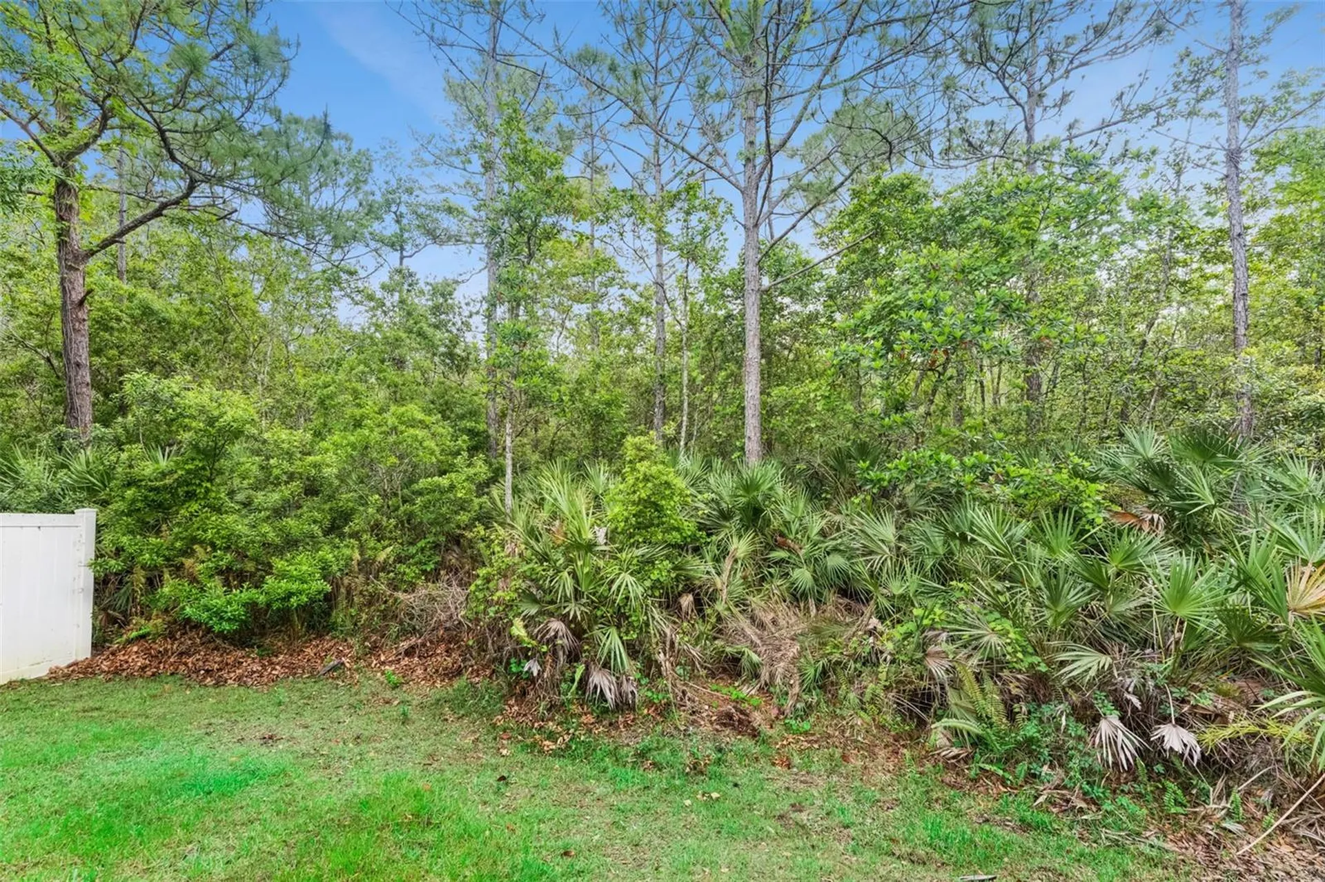2319 Carnation Hill Court Orlando FL 32820