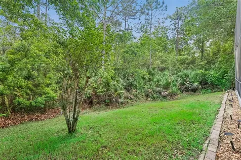 2319 Carnation Hill Court Orlando FL 32820