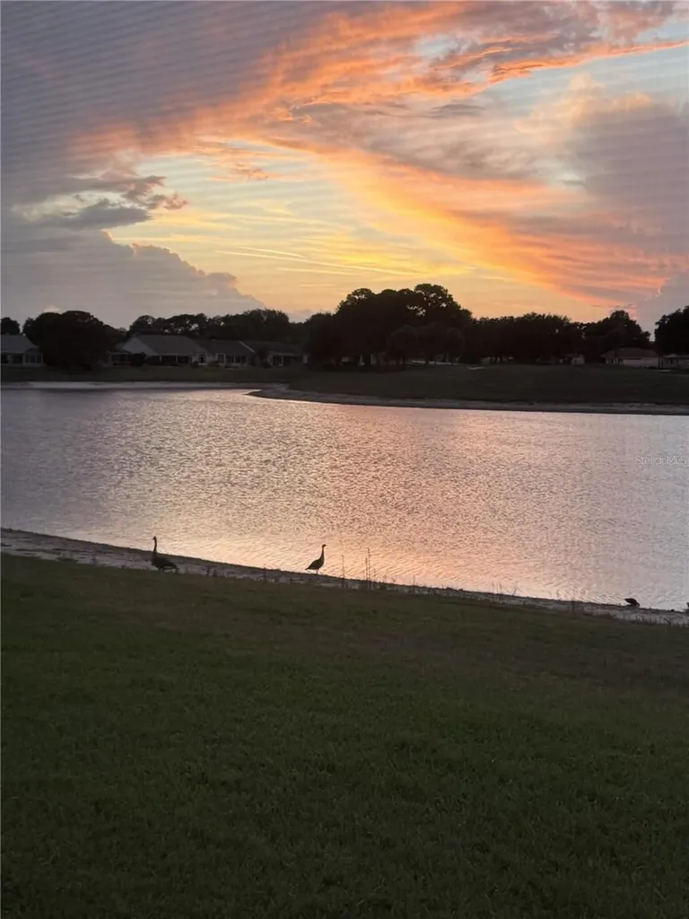 1307 Panama Place The Villages FL 32159