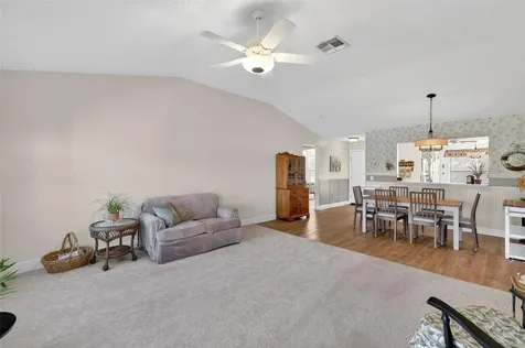 1307 Panama Place The Villages FL 32159