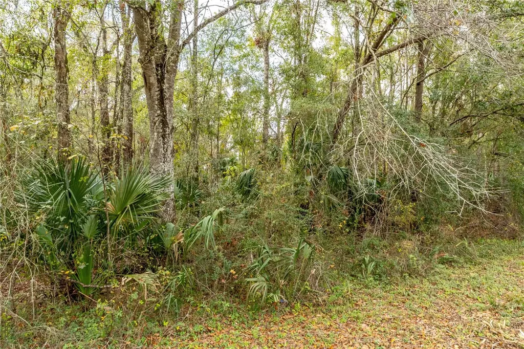 Lake Lindsey Tract 2 Road Brooksville FL 34601