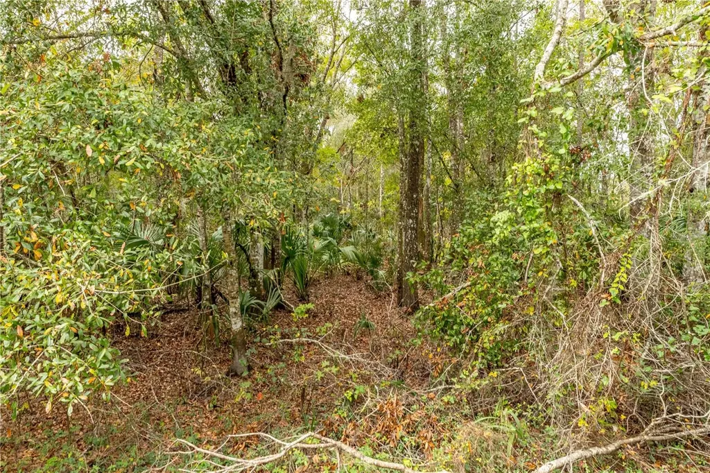 Lake Lindsey Tract 2 Road Brooksville FL 34601