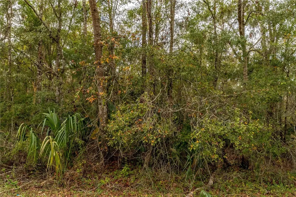Lake Lindsey Tract 2 Road Brooksville FL 34601