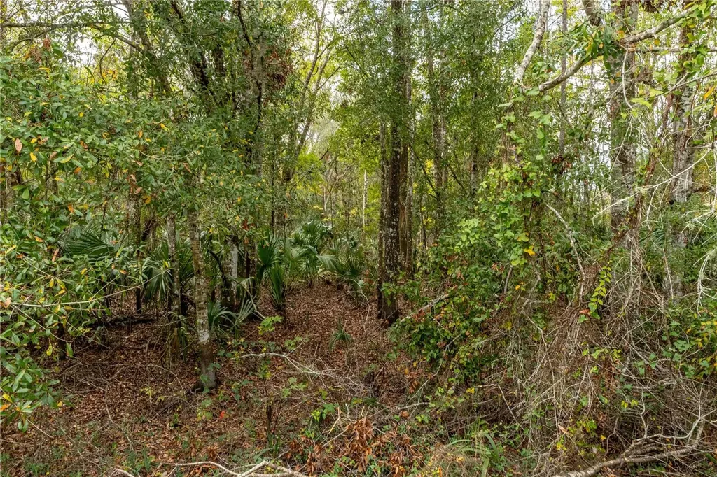 Lake Lindsey Tract 2 Road Brooksville FL 34601
