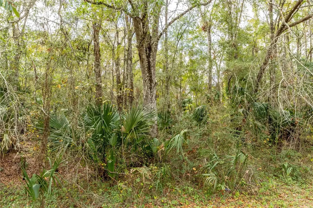 Lake Lindsey Tract 2 Road Brooksville FL 34601