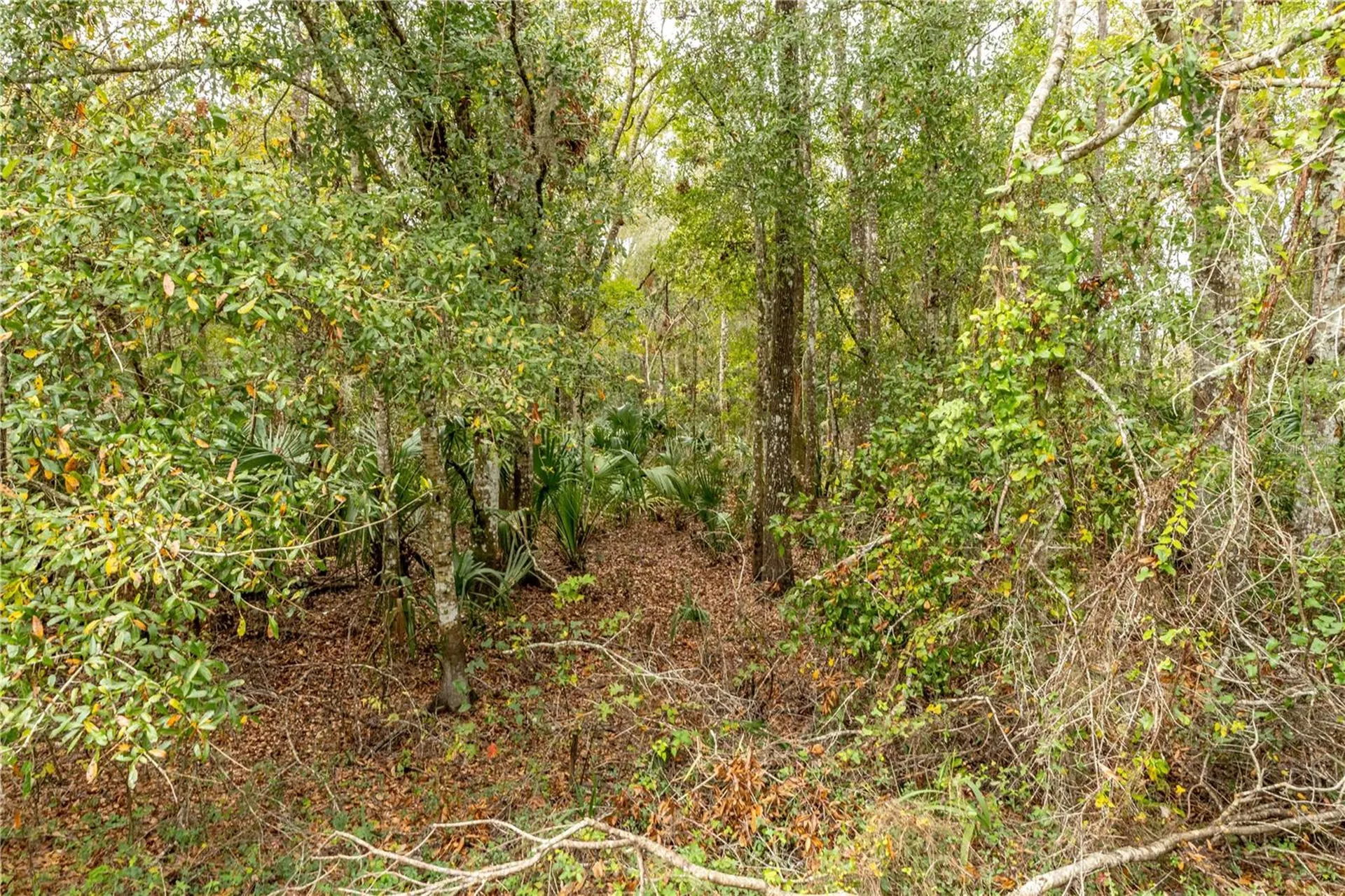 Lake Lindsey Tract 2 Road Brooksville FL 34601