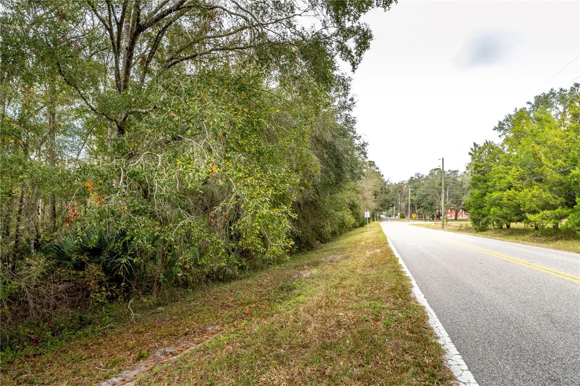 Lake Lindsey Tract 2 Road Brooksville FL 34601