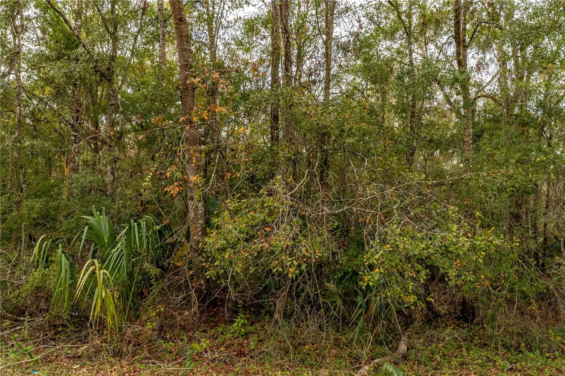 Lake Lindsey Tract 2 Road Brooksville FL 34601