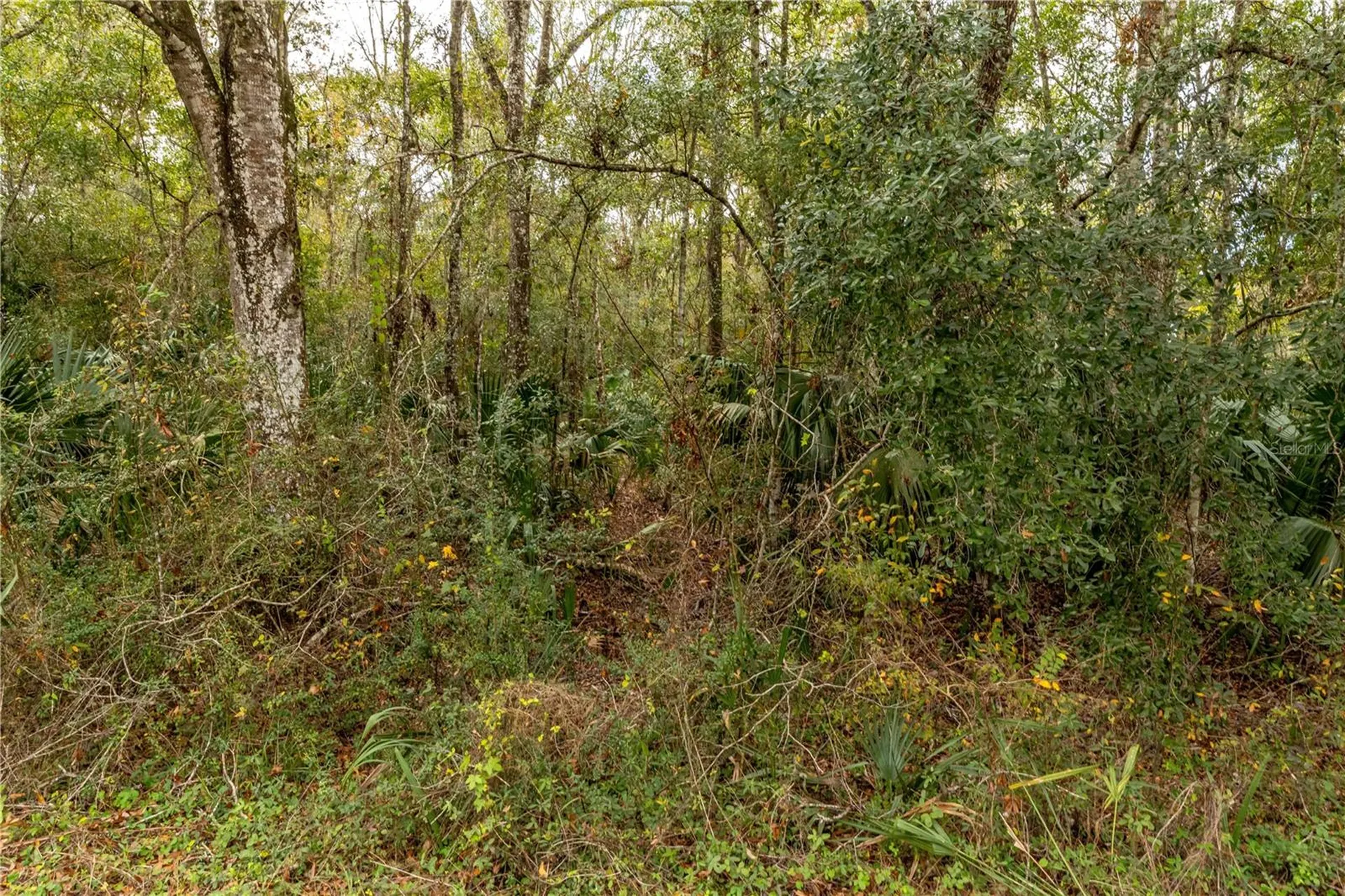 Lake Lindsey Tract 2 Road Brooksville FL 34601