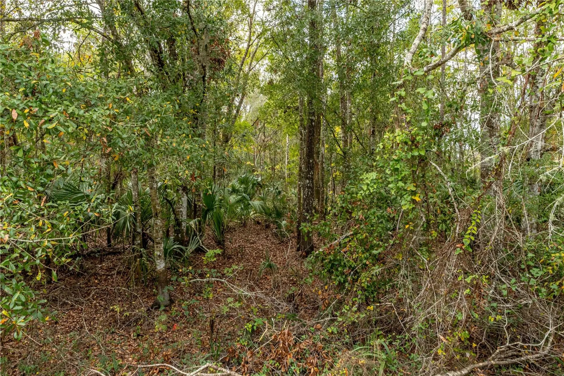 Lake Lindsey Tract 2 Road Brooksville FL 34601