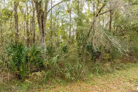 Lake Lindsey Tract 2 Road Brooksville FL 34601
