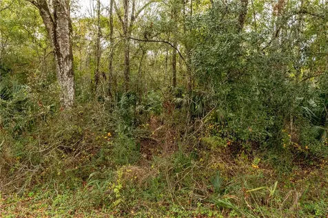 Lake Lindsey Tract 2 Road Brooksville FL 34601