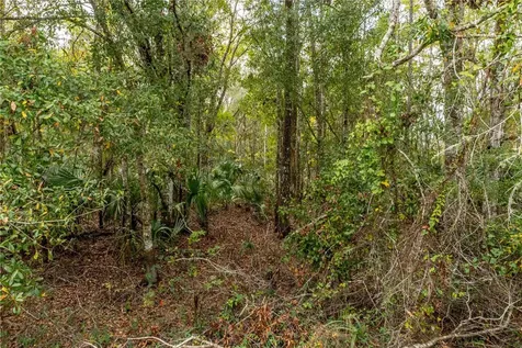 Lake Lindsey Tract 2 Road Brooksville FL 34601