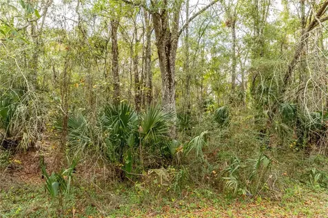 Lake Lindsey Tract 2 Road Brooksville FL 34601