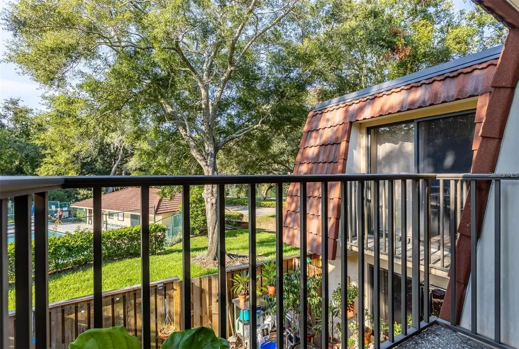 2636 2nd Court Palm Harbor FL 34684
