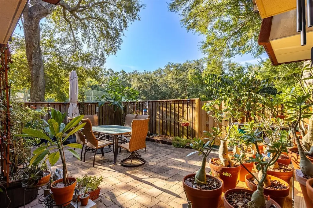 2636 2nd Court Palm Harbor FL 34684