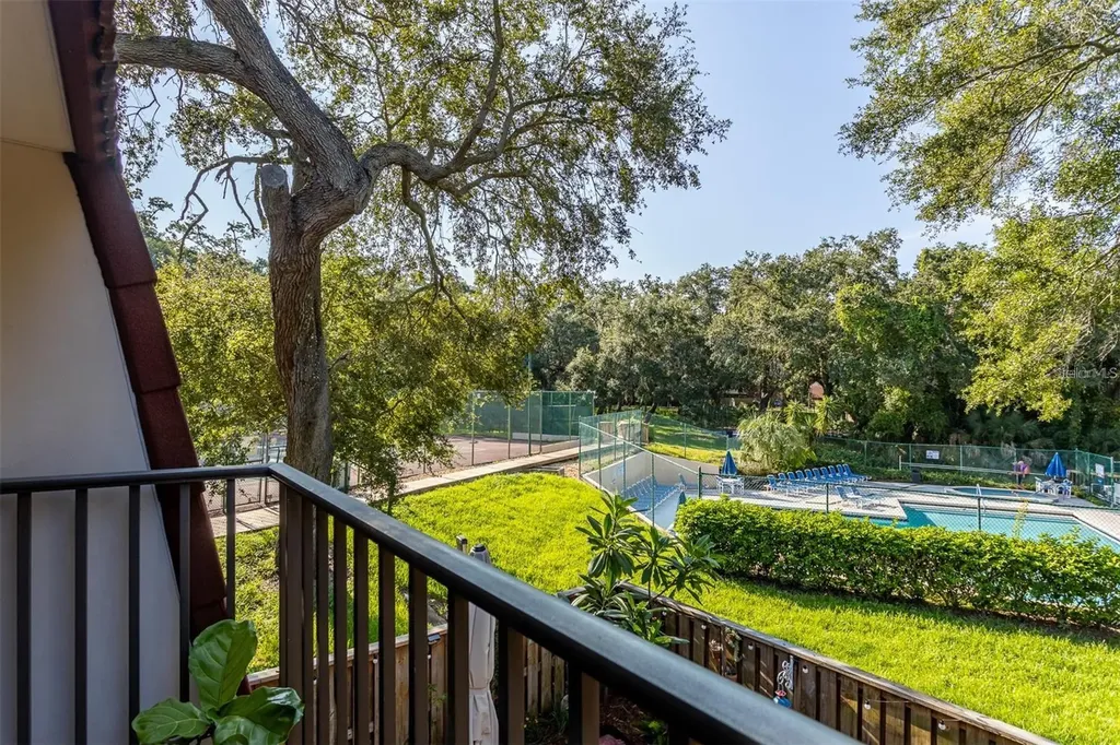 2636 2nd Court Palm Harbor FL 34684