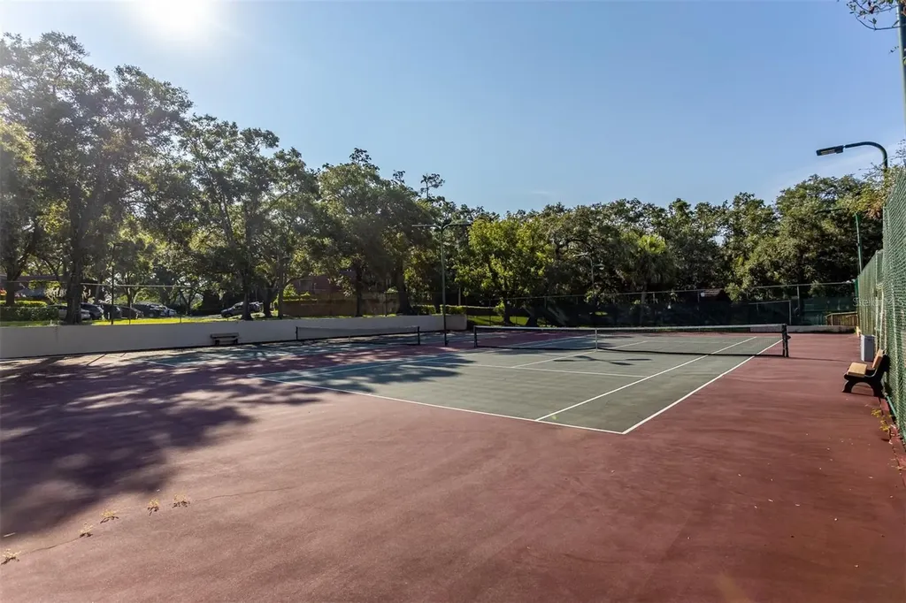 2636 2nd Court Palm Harbor FL 34684