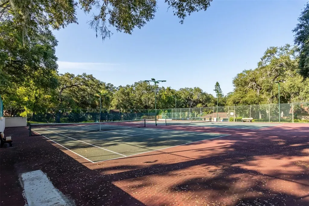 2636 2nd Court Palm Harbor FL 34684