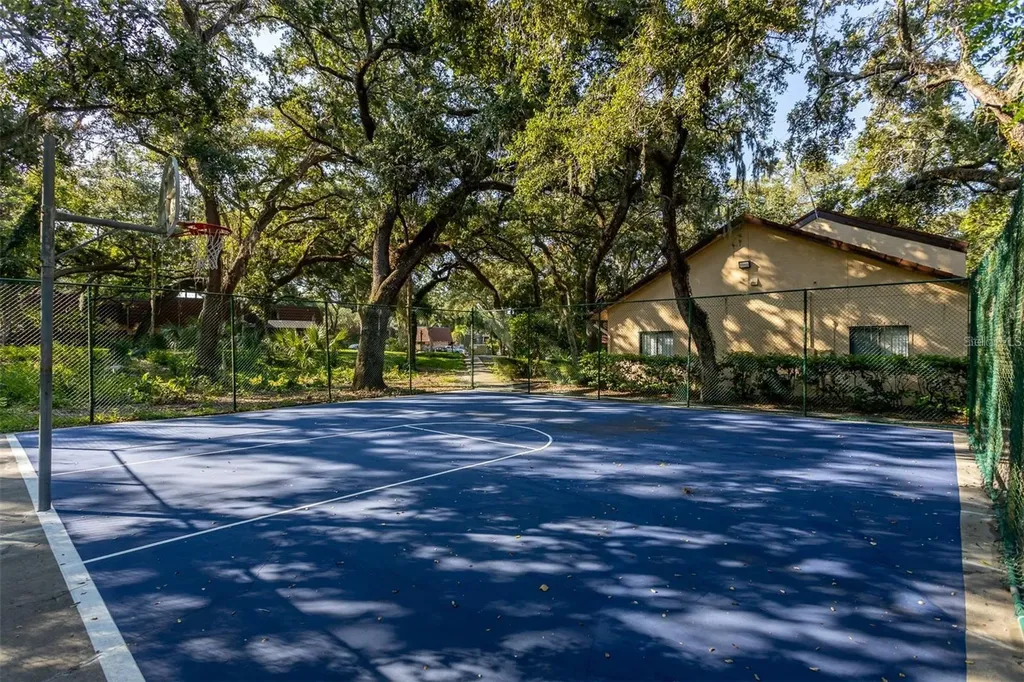 2636 2nd Court Palm Harbor FL 34684