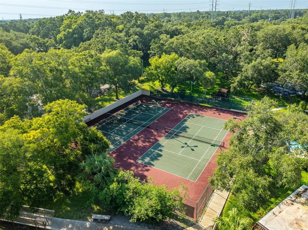 2636 2nd Court Palm Harbor FL 34684