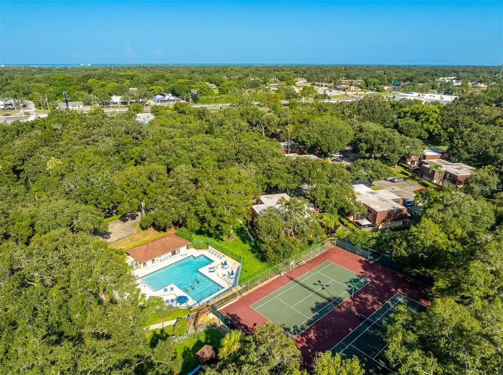 2636 2nd Court Palm Harbor FL 34684