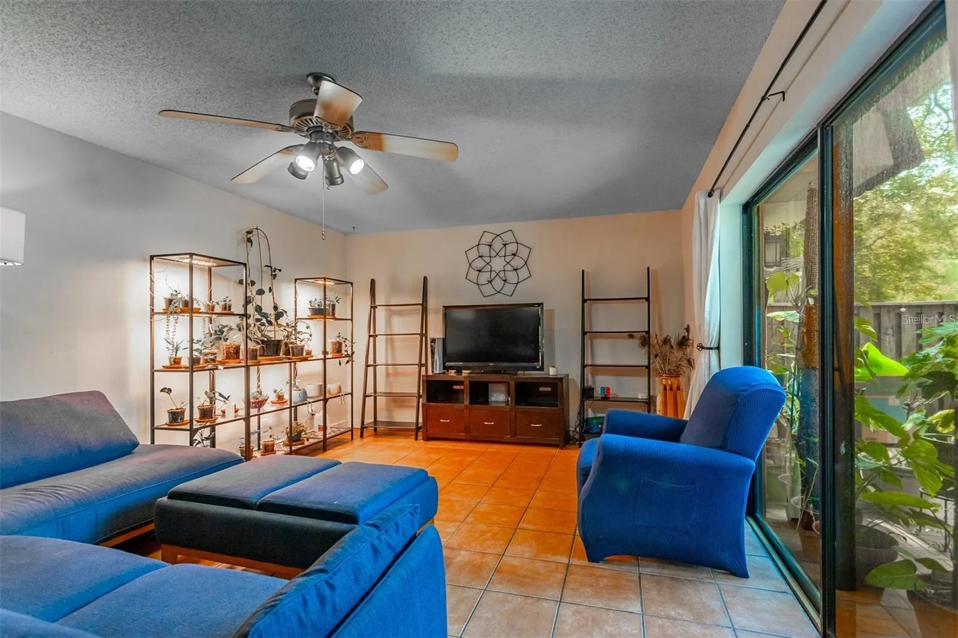 2636 2nd Court Palm Harbor FL 34684