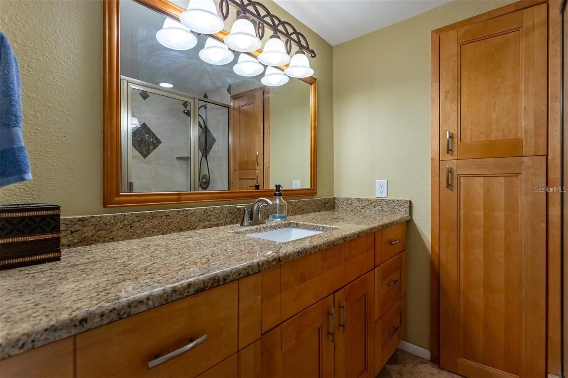2636 2nd Court Palm Harbor FL 34684