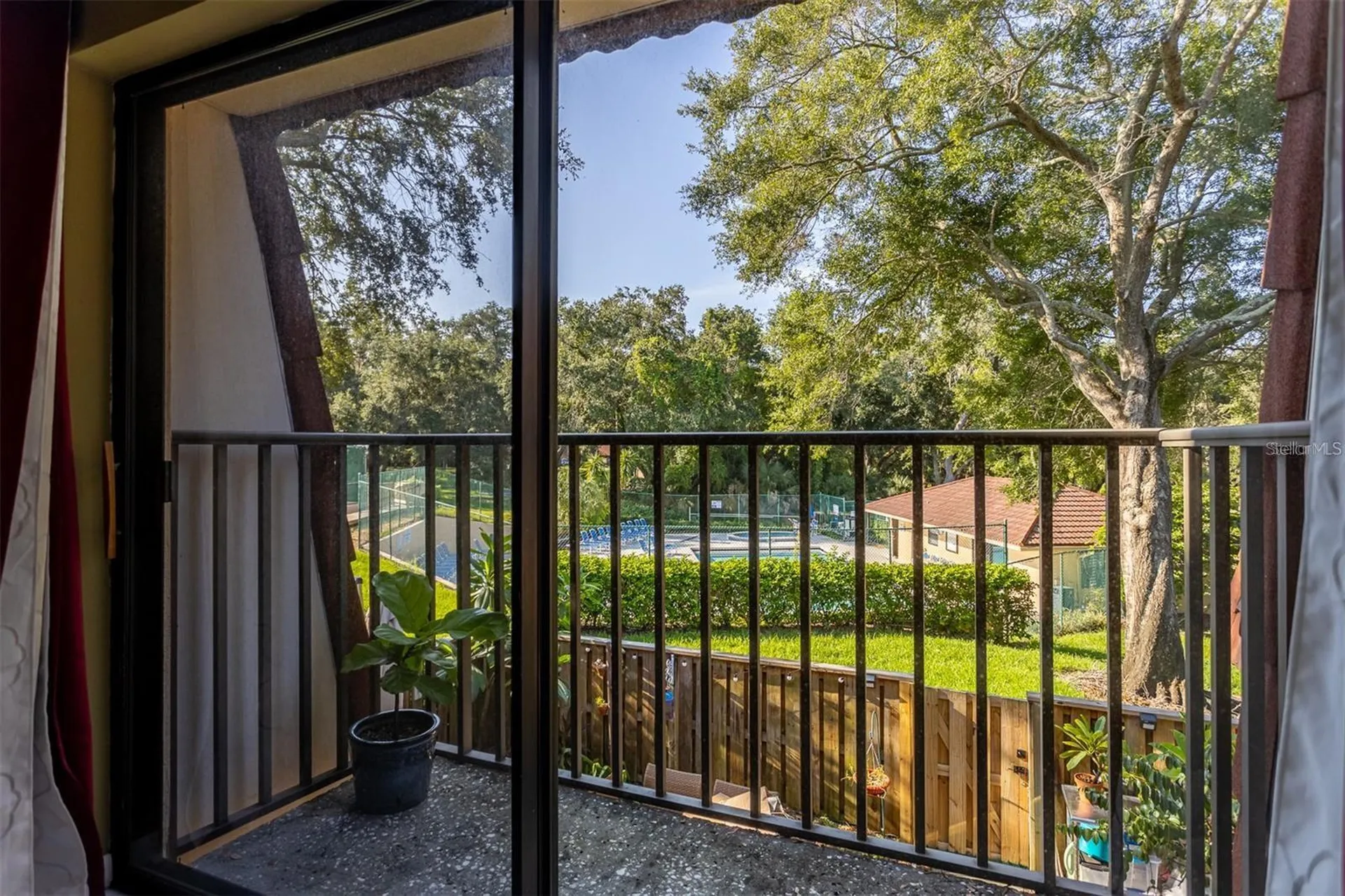 2636 2nd Court Palm Harbor FL 34684
