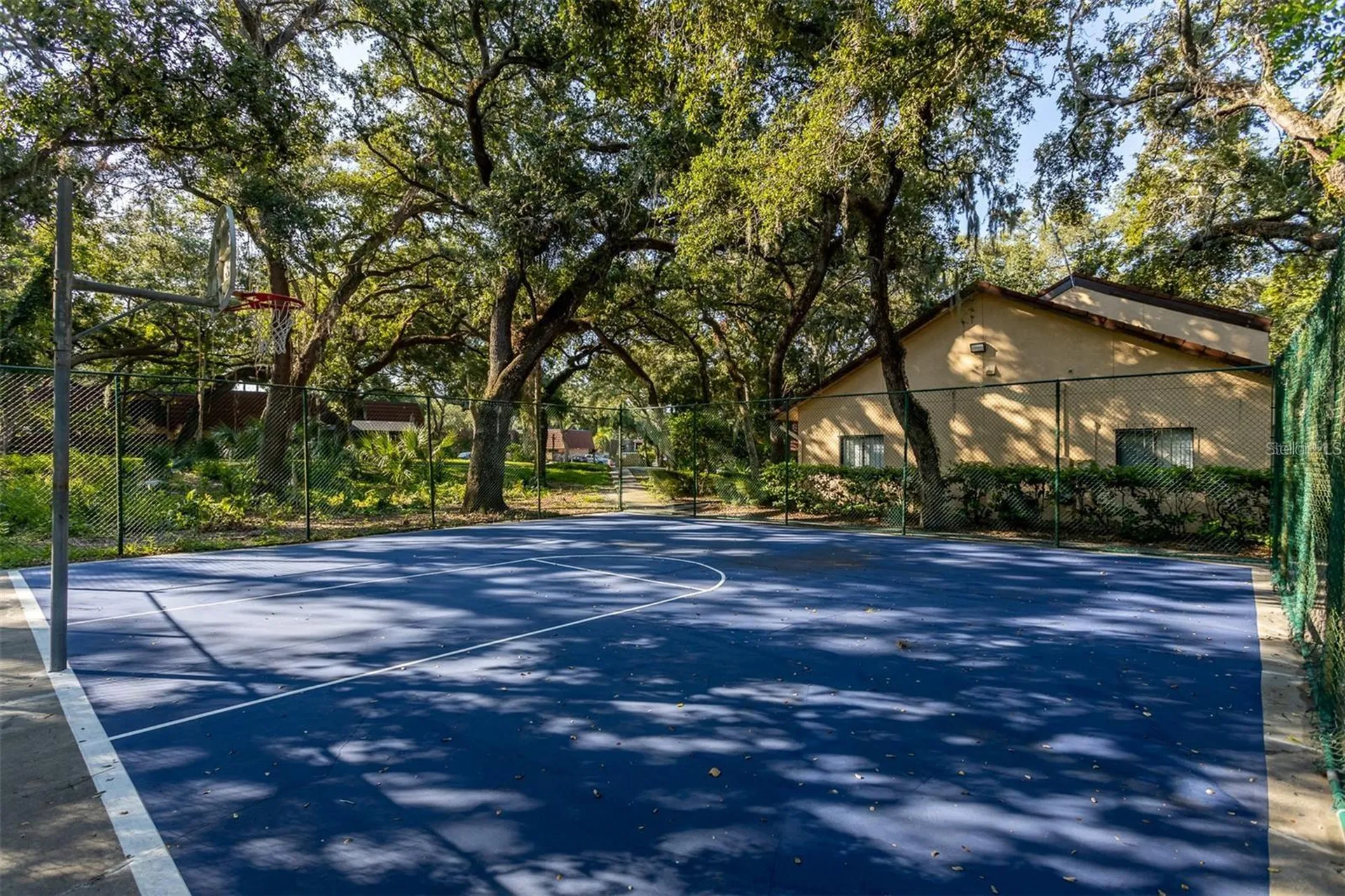2636 2nd Court Palm Harbor FL 34684