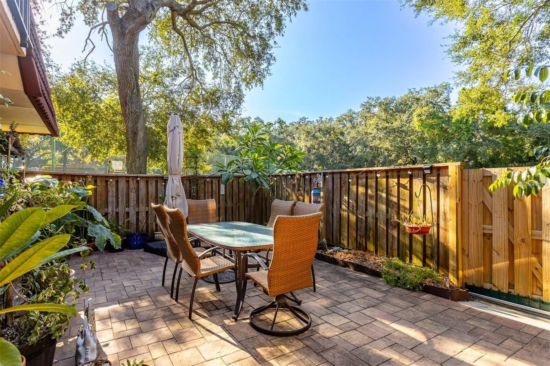 2636 2nd Court Palm Harbor FL 34684