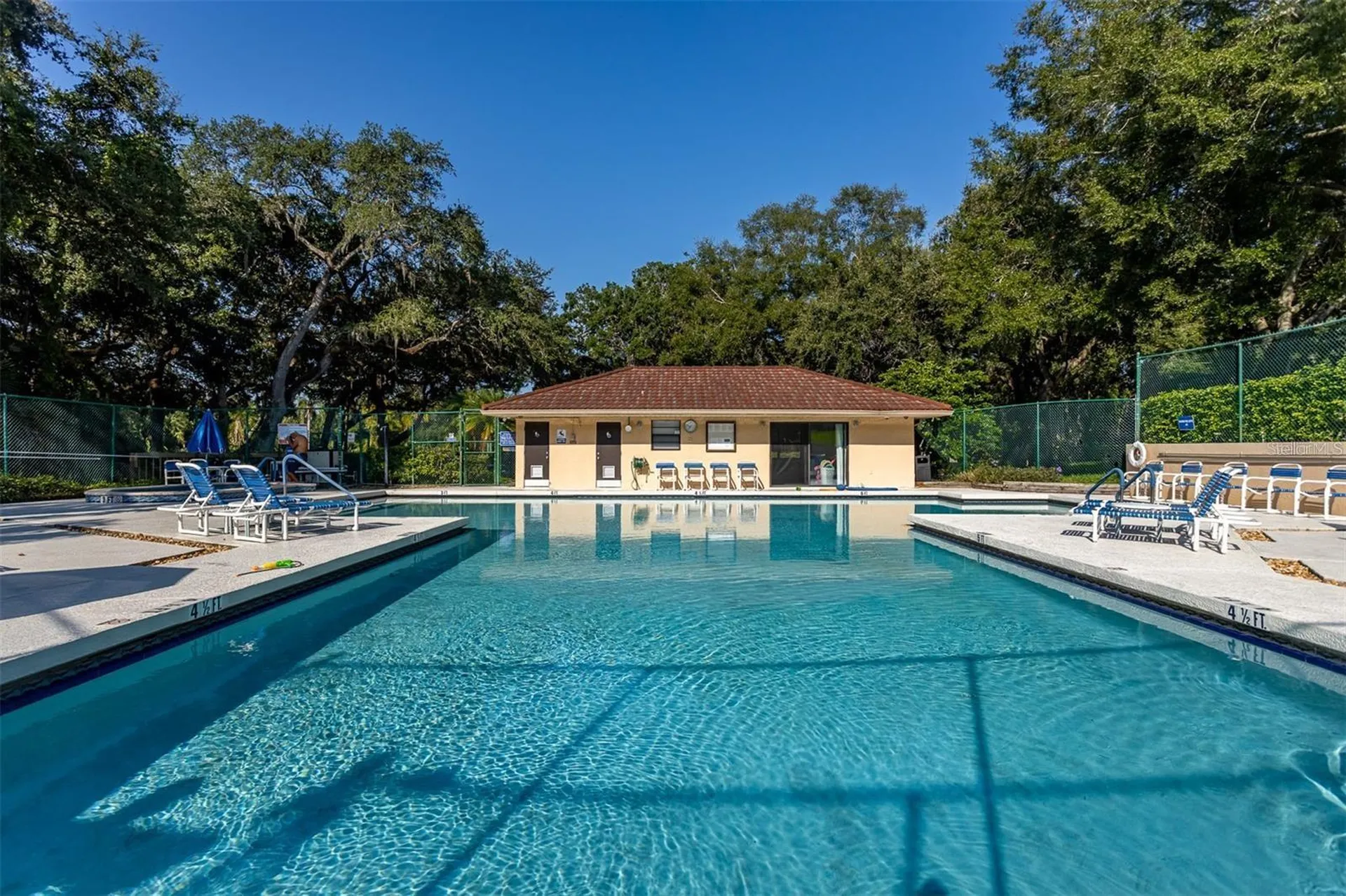 2636 2nd Court Palm Harbor FL 34684