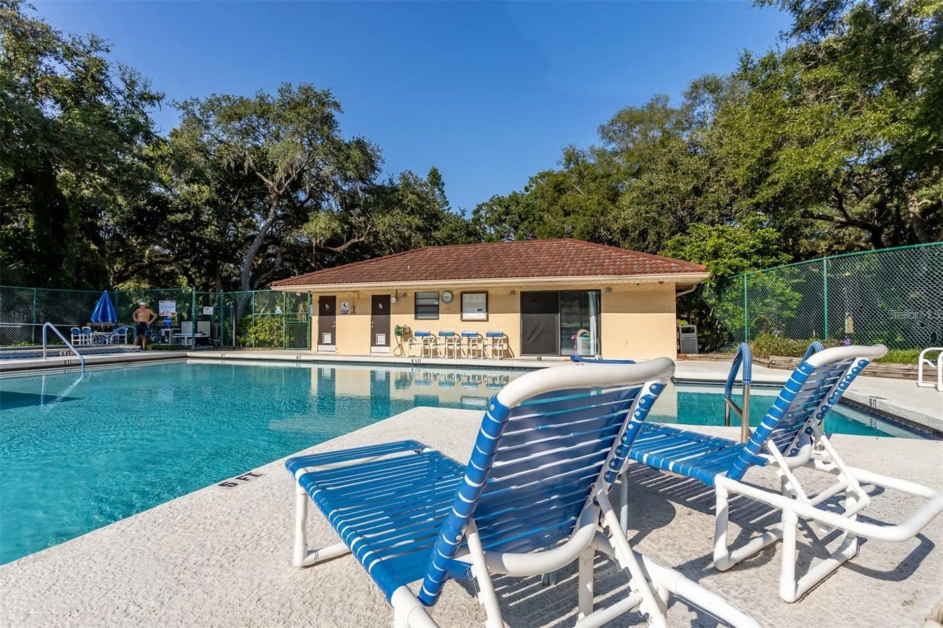 2636 2nd Court Palm Harbor FL 34684