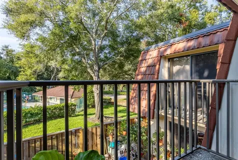 2636 2nd Court Palm Harbor FL 34684