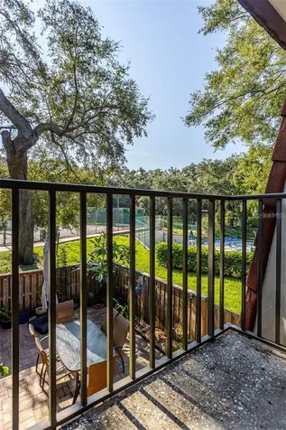 2636 2nd Court Palm Harbor FL 34684