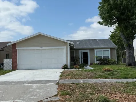 14022 Citrus Pointe Drive Tampa FL 33625