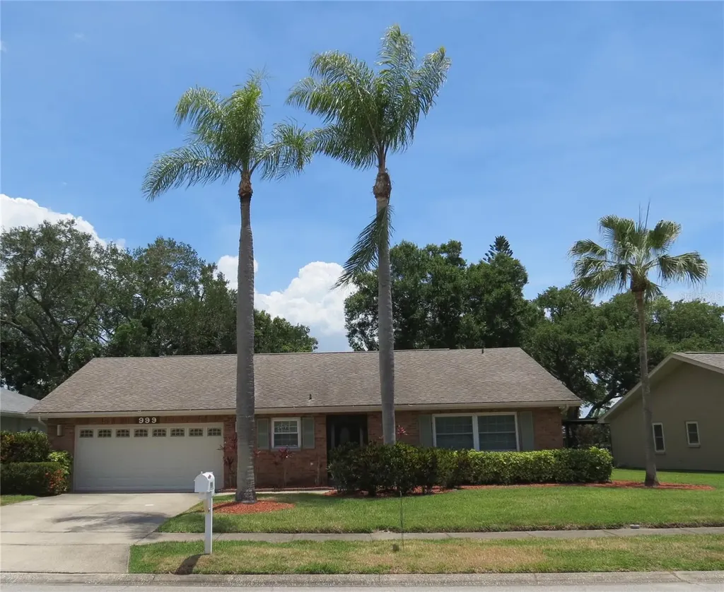 999 Gillespie Drive Palm Harbor FL 34684