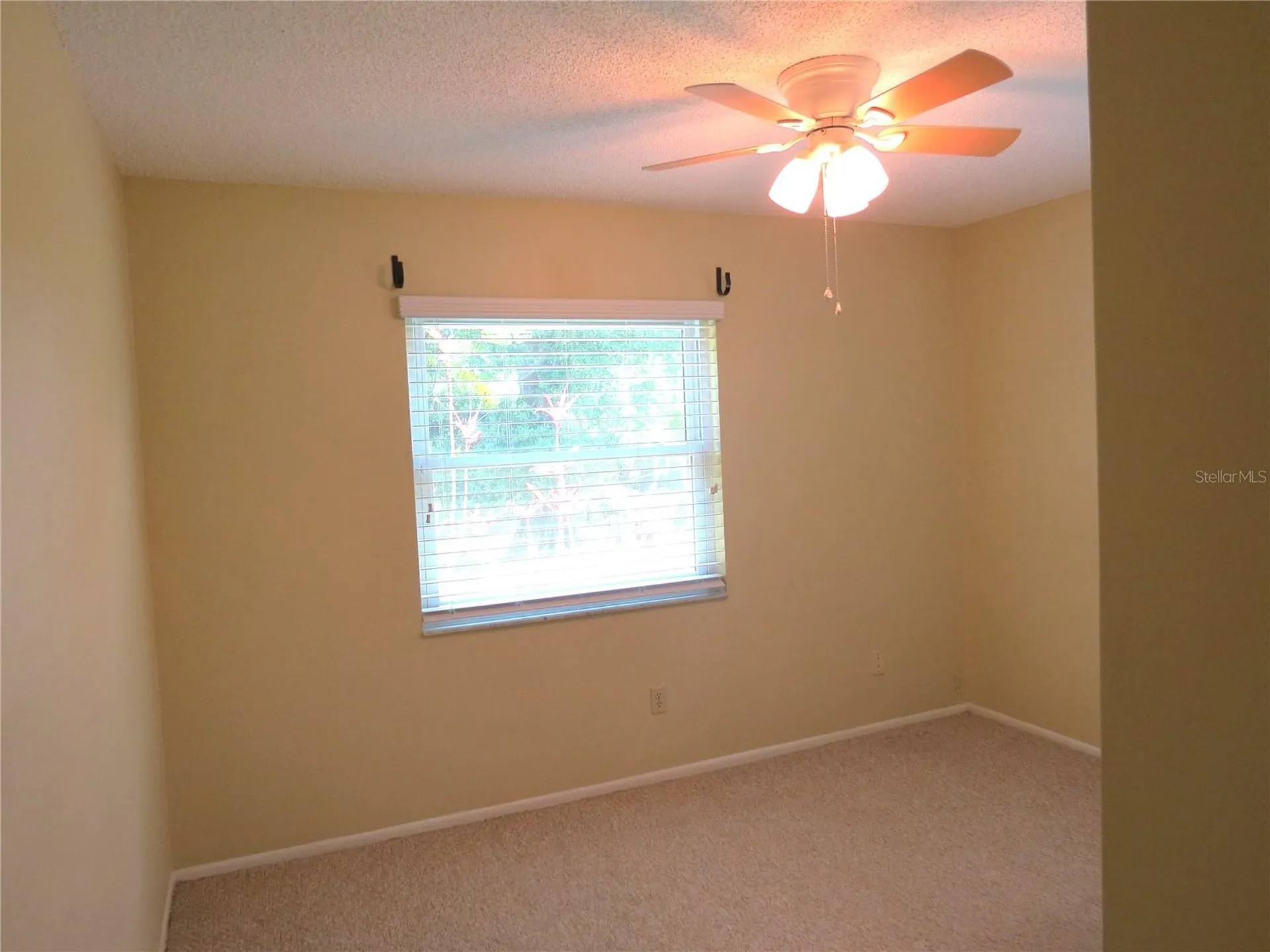 999 Gillespie Drive Palm Harbor FL 34684