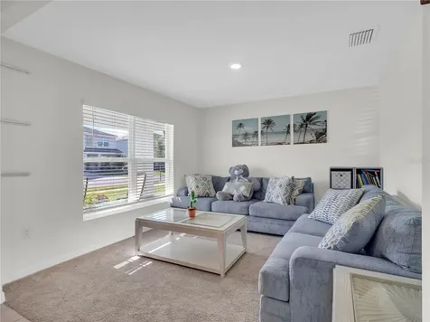 16767 Sunburst Lake Street Wimauma FL 33598