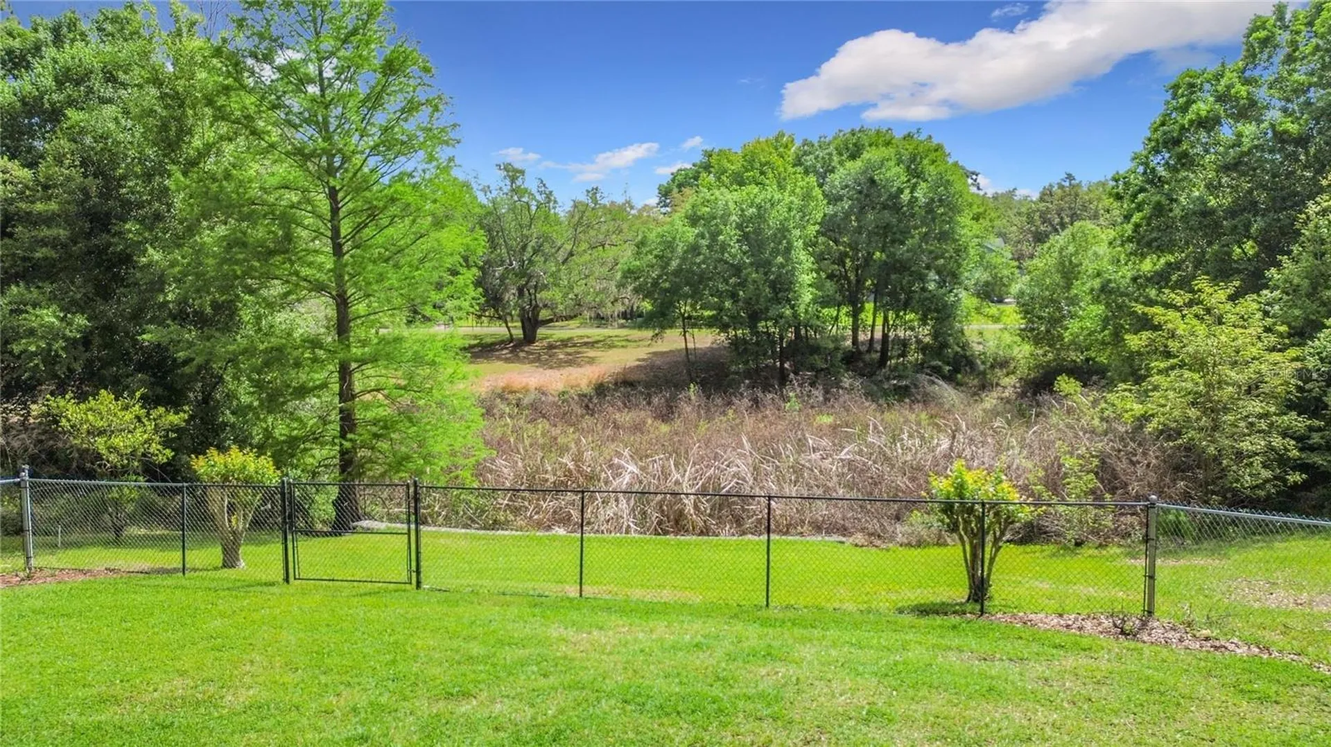 3536 Pine Tree Loop Haines City FL 33844