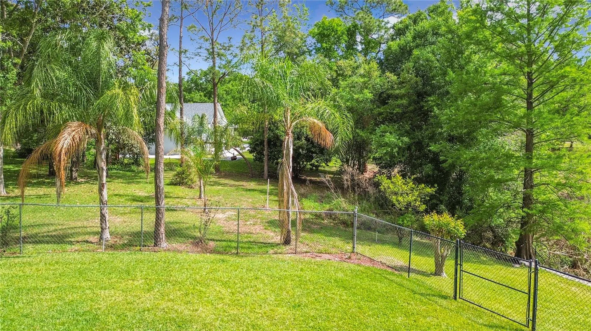 3536 Pine Tree Loop Haines City FL 33844