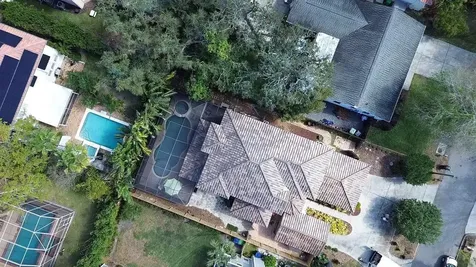 3111 W Lawn Avenue Tampa FL 33611